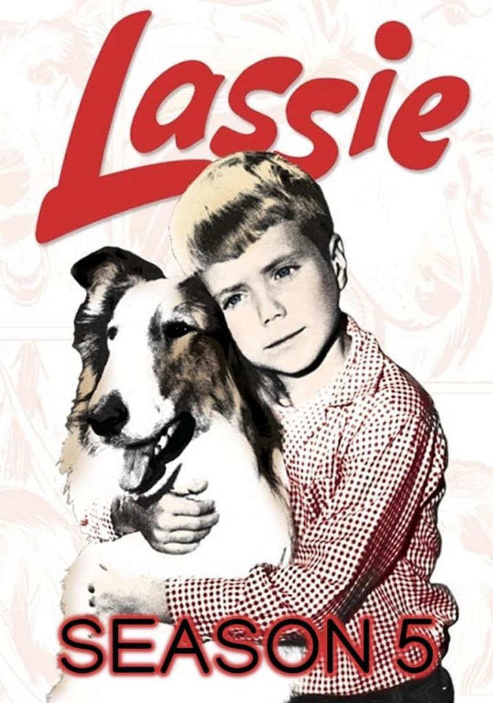Lassie Season 5 Watch Full Episodes Streaming Online